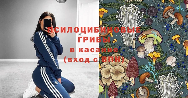 крисы Зеленокумск