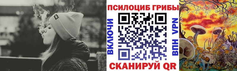 Галлюциногенные грибы мицелий  Купить  Сосенский 